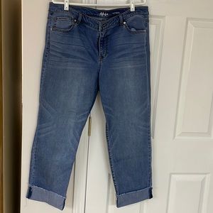 16W Style & Co Boyfriend Jeans